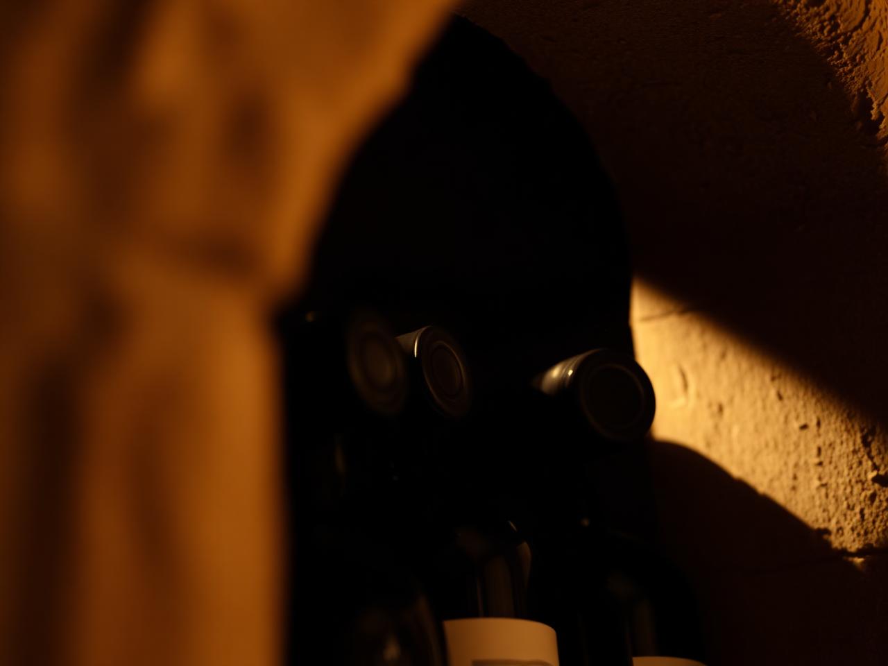Aged bottles resting in The Wine Box's subterranean cellar